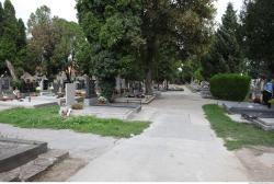 Photo of Mixed Textures